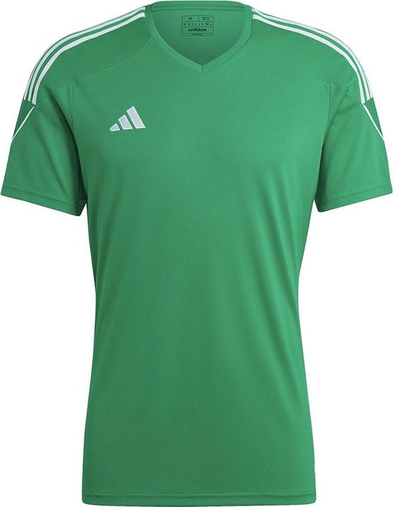 adidas Herren Tiro 23 League Trikot Grün IC7477 (M) (M)