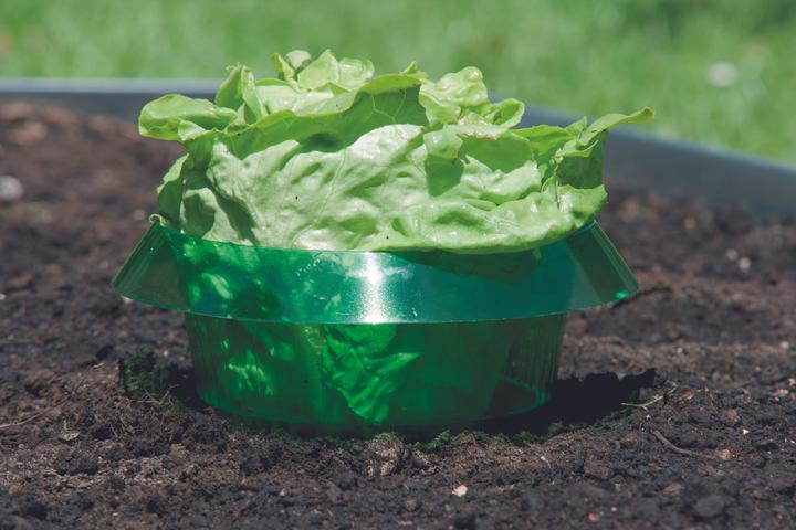 Produktbild Windhager Schneckenschutzring