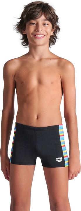 Arena B Racing Stripe Swim Short