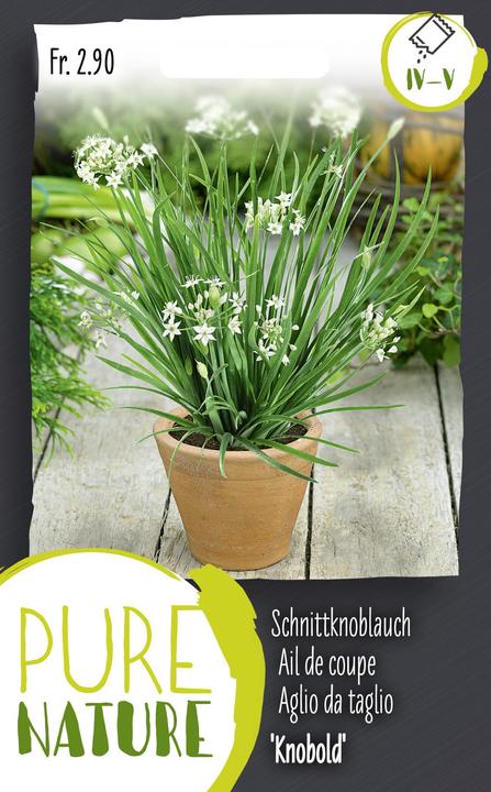 Image du produit Do it + Garden Ail de coupe 'Knobold', vivace 1g (Graines d'herbes aromatiques)