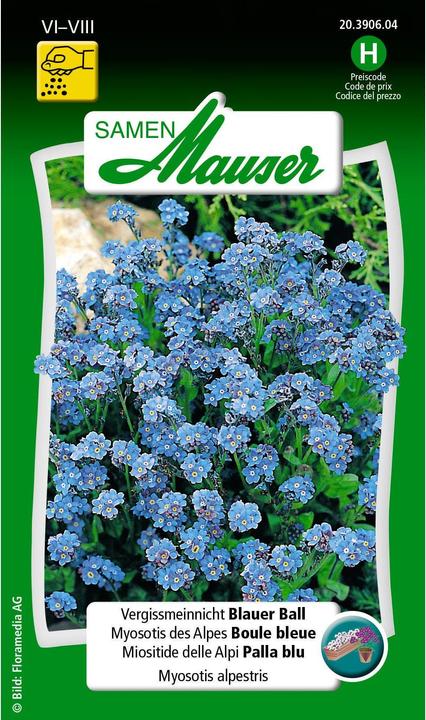 Samen Mauser Oubliez-moi, le bal bleu (Graines de plantes)