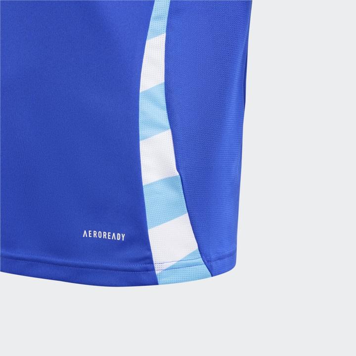 Actual product image adidas Argentina Kids Away Jersey (140)