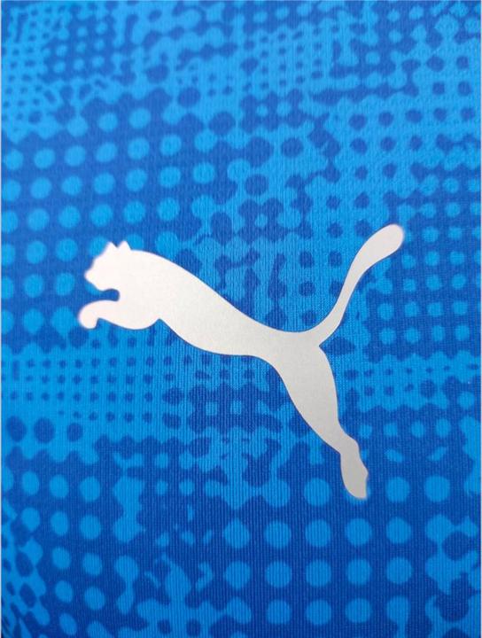 Actual product image Puma teamCUP Training Jersey (XL)