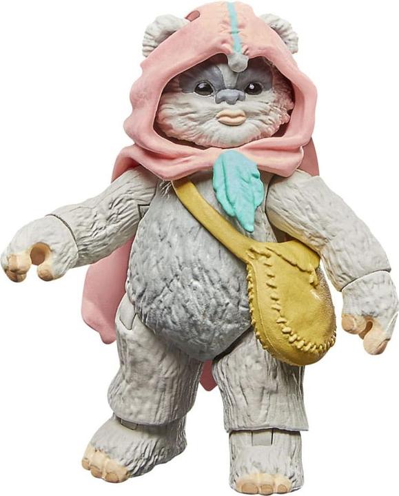 Actual product image Hasbro Star Wars: Ewoks Vintage Collection figurines Wicket W Warrick & Kneesaa 10 cm