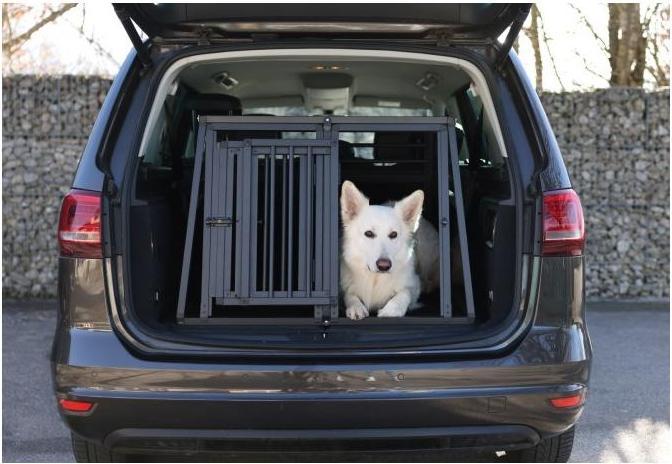Actual product image Kerbl Transport box Vacation, aluminium, two-door (Dog, Lockable, Breathable)