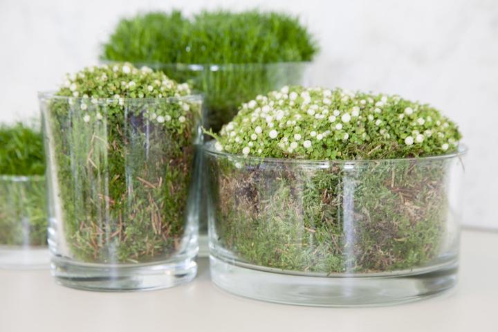 Actual product image B Living Ross (Ø 25 cm)