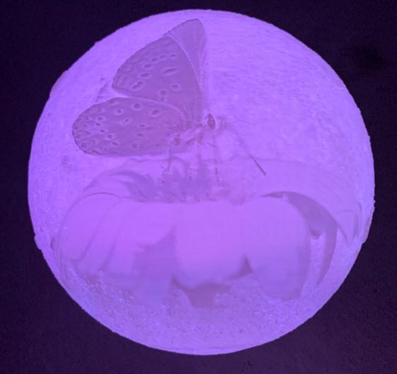 Produktbild Cover-Discount Multicolor LED Mondlampe 3D 18CM Schmetterling