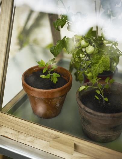 Actual product image Skagerak Spira Green House (37 cm)
