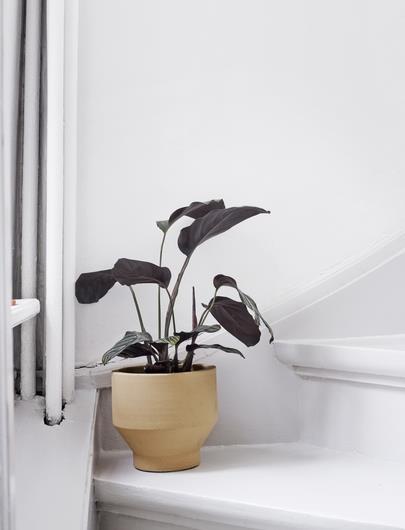 Immagine prodotto Skagerak Bordo (18 cm)