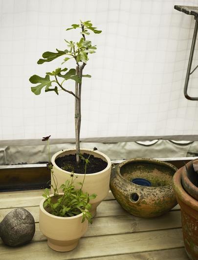 Immagine prodotto Skagerak Edge (25 cm)