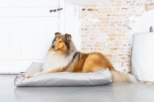 Produktbild Designed by Lotte Nalino (Hund)