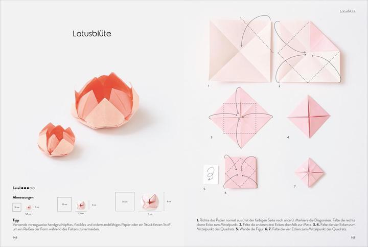 Actual product image Das grosse Origami Buch (German, Adeline Klam, 2023)
