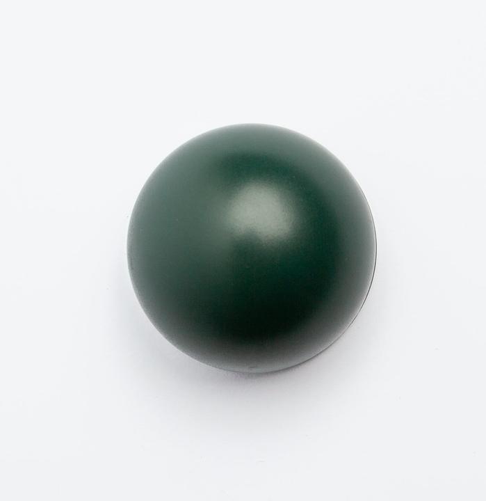 Image du produit FYTA Capteur intelligent pour plantes d'intérieur