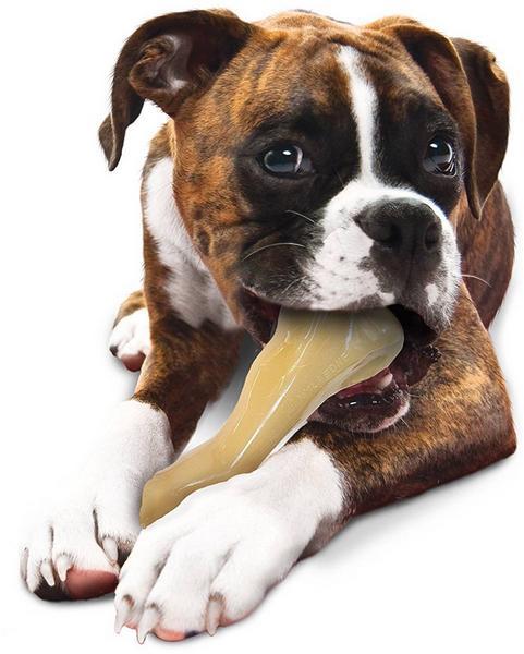 Actual product image Nylabone Extreme Big Chew Beef Bone, 18.5 cm, 360 g (Dog chew toy)