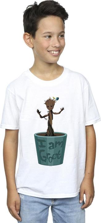Image du produit - T-shirt GUARDIANS OF THE GALAXY GROOT FLOWER POT - Garçon (152, 158)