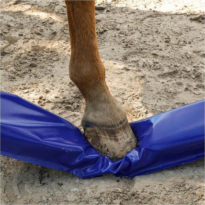 Actual product image Dönges Horse lane à 300 x 17 x 10 cm, yellow