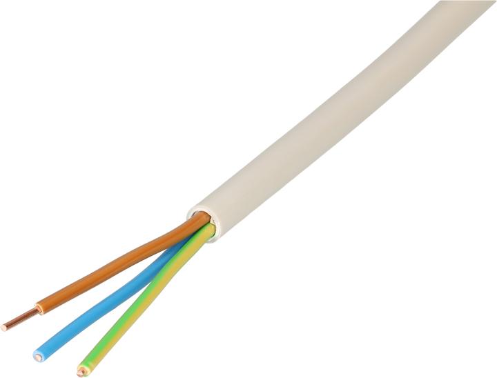 Max Hauri Câble TT (25 m)