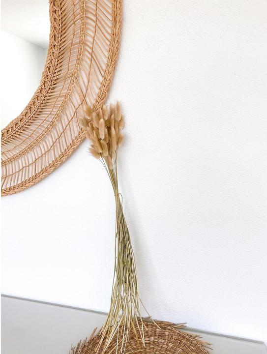 Actual product image Soli Collection Dried flowers Lagurus (Dried flowers)
