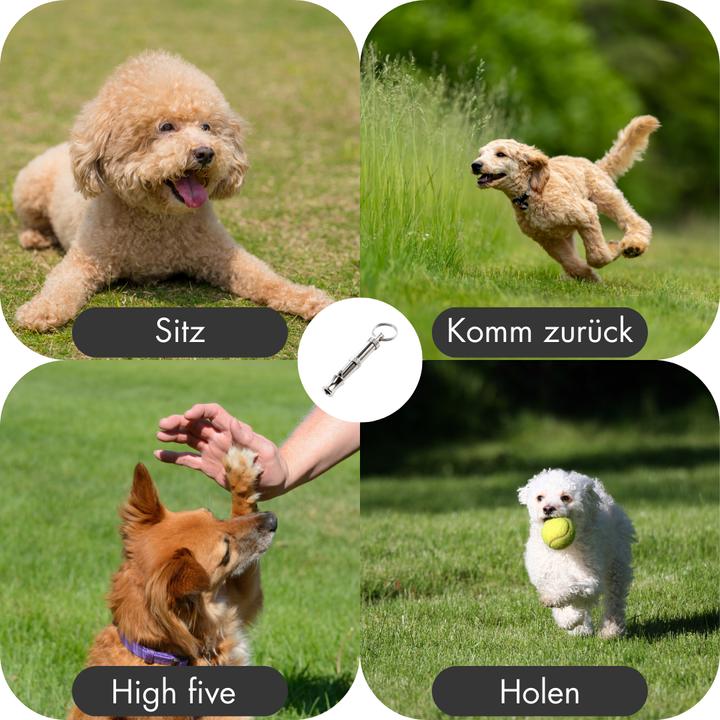 Actual product image Suba High-Frequency Dog Whistle (Upbringing)