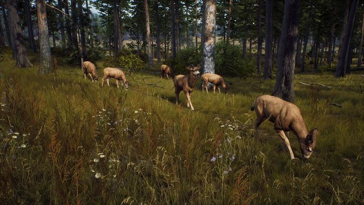 Image du produit THQ Way of the Hunter (PS5, EN, FR, IT)
