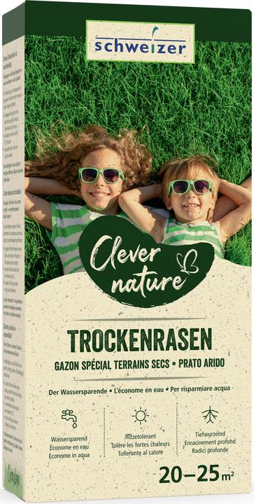 Produktbild Schweizer Trockenrasen (Rasensamen)