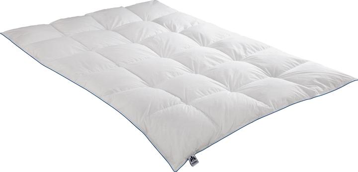 Produktbild Irisette Daunenkassettendecke Luna warm (820 g, 135 x 200 cm)