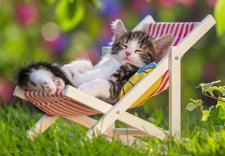 Actual product image Ravensburger Sleepy kittens (24 pieces)