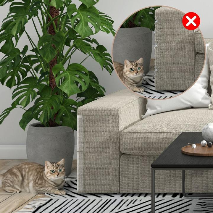 Produktbild Hermex Kratzschutz Kratz-Stop Anti-Kratz Folie Katzen Möbelschoner Wandschutz (Katze)