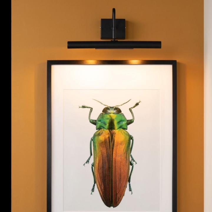 Immagine prodotto Lucide Luci per espositori e quadri (G9)