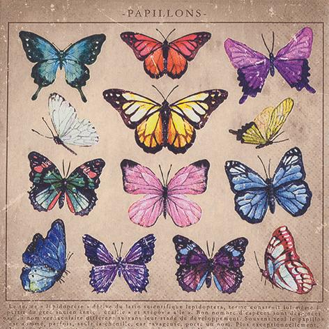 Produktbild Magni Schmetterlings-Sammlung (20 x, 33 x 33 cm)