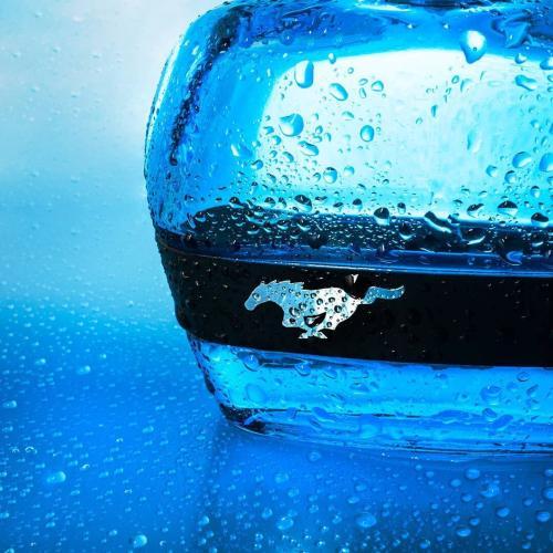 Actual product image Estée Lauder Mustang Blue by Eau de Toilette Spray 100 ml (Eau de toilette, 100 ml)