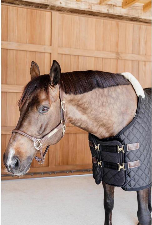 Image du produit Kentucky Horsewear Extenseur de poitrine matelassé Sheepskin 2 fermetures