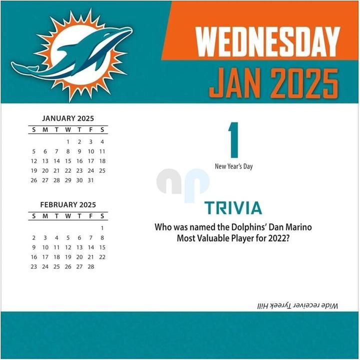 Energy Label NFL - Miami Dolphins - Desk Calendar 2025 (Spanish, Italian, English, German, French)