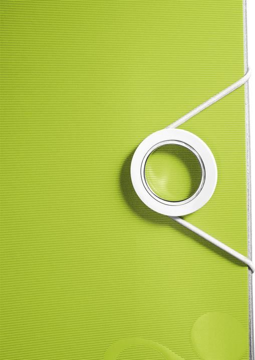 Produktbild Leitz WOW Qualitäts-Ordner 180° Active (A4, 80 mm, 1 Stück)
