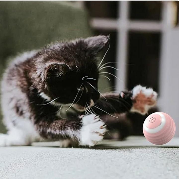 Actual product image Suba Elektrischer Katzenball mit LED Licht (Cat ball toy)