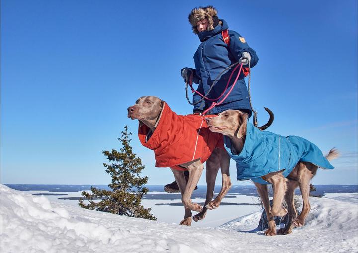 Actual product image Hurtta Extreme Warmer V3 Eco Blue, 55 cm (55, Dog coat)
