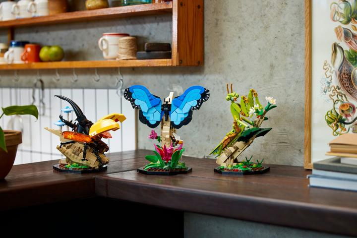 Immagine prodotto LEGO Idee La collezione di insetti (21342, LEGO Ideas)