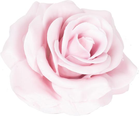 Actual product image Primera Set of 12 Wax Rose