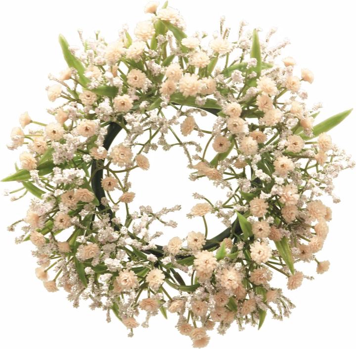 Immagine prodotto Exner Garten und Wohnaccessoires Gypsophila Muralis (1 x)