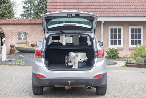 Actual product image Karlie Nomad (Dog, Cat, Lockable)