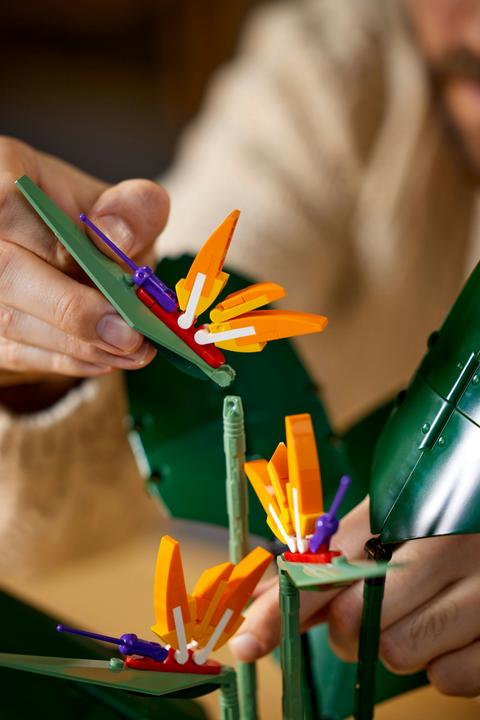 Produktbild LEGO Bird of Paradise (10289, LEGO Seltene Sets)