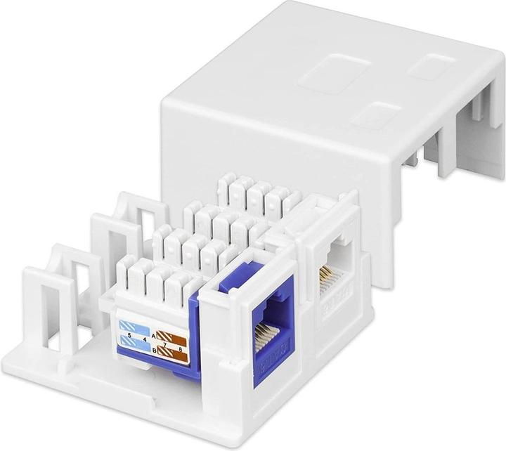 Immagine prodotto Techly Presa a Muro per 2 Frutti Keystone Bianco
