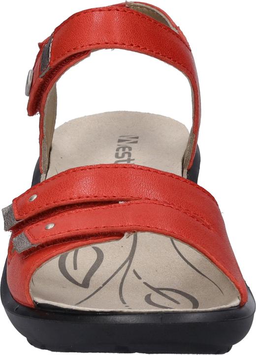 Actual product image Westland 25902-644 (36)