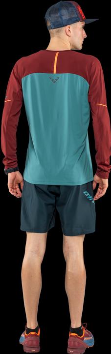 Actual product image Dynafit Alpine Pro Long Sleeve Tee (XXL)