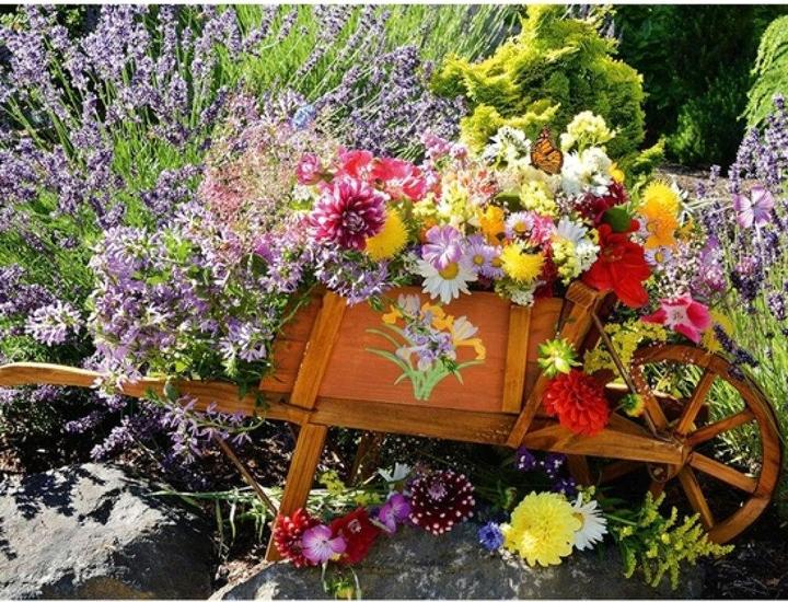 Image du produit Ravensburger Arrangement de fleurs (500 pièces)