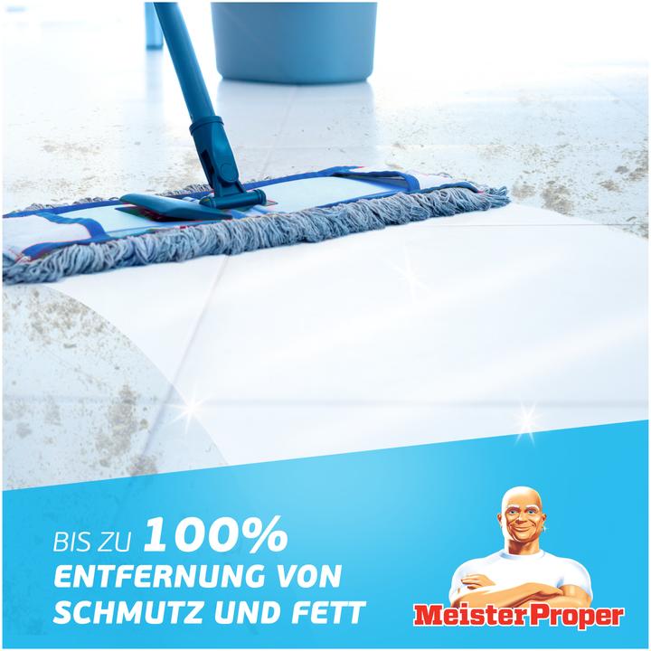 Actual product image Meister Proper Allzweckreiniger