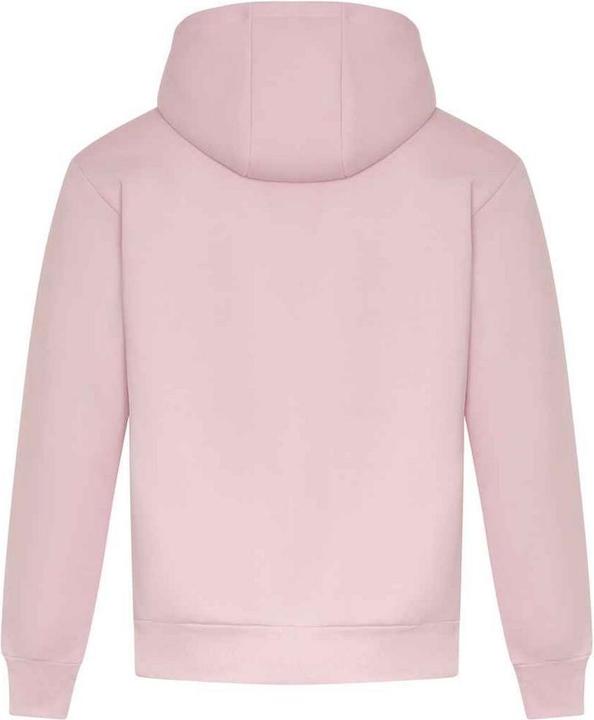 Actual product image Awdis Unisex Adult Signature Heavyweight Hoodie (L)