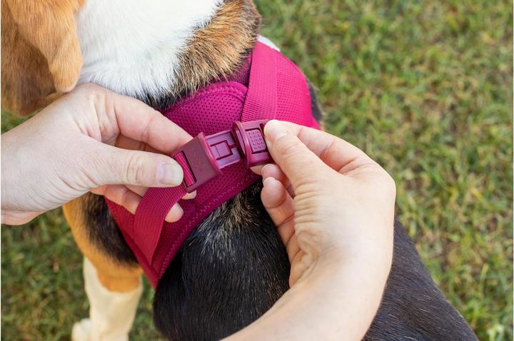 Immagine prodotto Curli Gilet da imbracatura Air-Mesh S, Nero (S, Cane, Generale)