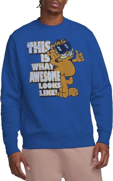 Image du produit Garfield - Sweat AWESOME - Adulte (M)