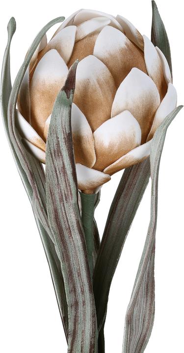 Actual product image EGLO LIVING Molave (15 cm)
